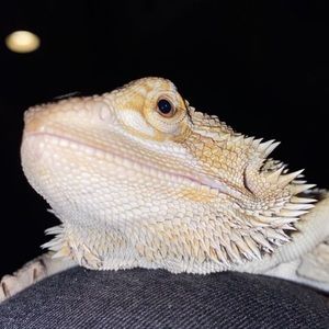 Meet your Posher, Caleb